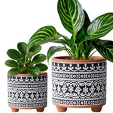 Set of 2 Terracotta Planter Pots, 4 Inch & 6 Inch, Design Plants Pot with Drainage Hole, Midnight Lace, Terracotta/Black, 31-953-F-2
