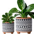 Set of 2 Terracotta Planter Pots, 4 Inch & 6 Inch, Design Plants Pot with Drainage Hole, Midnight Lace, Terracotta/Black, 31-953-F-2