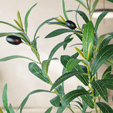 Realistic Artificial Olive Tree with Thick Trunk & Lifelike Fruit – 5/6/7/8FT, Perfect for Home & Office Décor with round White Pot